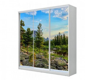 Шкаф-купе ХИТ 22-18-777 (620) в Нижнем Тагиле - nizhnij-tagil.germes-mebel.ru | фото