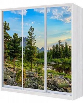 Шкаф-купе ХИТ 22-18-777 ПРИРОДА в Нижнем Тагиле - nizhnij-tagil.germes-mebel.ru | фото