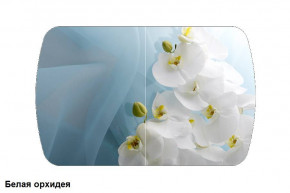 Стол Бостон 2 (1100*700) опоры Брифинг (Стекло/фотопечать Белая орхидея) в Нижнем Тагиле - nizhnij-tagil.germes-mebel.ru | фото