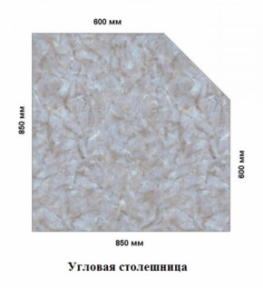 Столешница угловая 850*38*600 в Нижнем Тагиле - nizhnij-tagil.germes-mebel.ru | фото